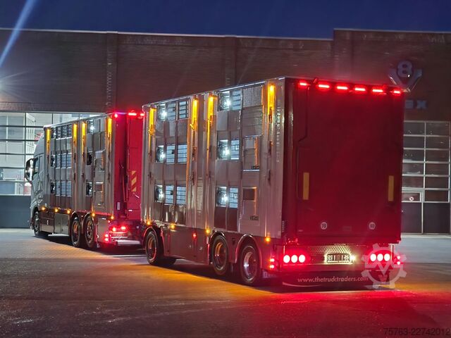 Μεταφορά βοοειδών Volvo FH 13.500 XL 6x2 - Pezzaioli livestock 3 deck +...