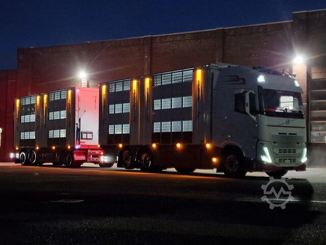 Μεταφορά βοοειδών Volvo FH 13.500 XL 6x2 - Pezzaioli livestock 3 deck +...