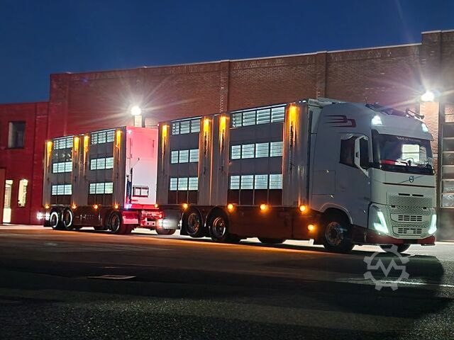 Μεταφορά βοοειδών Volvo FH 13.500 XL 6x2 - Pezzaioli livestock 3 deck +...