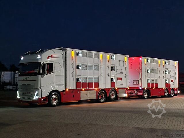 Μεταφορά βοοειδών Volvo FH 13.500 XL 6x2 - Pezzaioli livestock 3 deck +...
