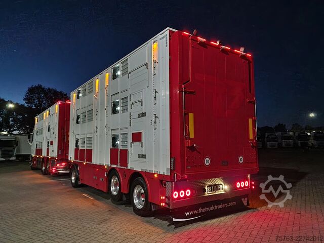 Μεταφορά βοοειδών Volvo FH 13.500 XL 6x2 - Pezzaioli livestock 3 deck +...