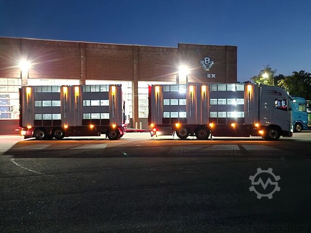 Μεταφορά βοοειδών Volvo FH 13.500 XL 6x2 - Pezzaioli livestock 3 deck +...