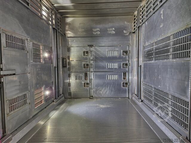 Μεταφορά βοοειδών Volvo FH 13.500 XL 6x2 - Pezzaioli livestock 3 deck +...