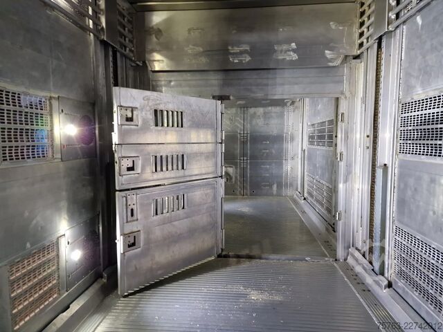 Μεταφορά βοοειδών Volvo FH 13.500 XL 6x2 - Pezzaioli livestock 3 deck +...