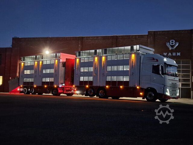 Μεταφορά βοοειδών Volvo FH 13.500 XL 6x2 - Pezzaioli livestock 3 deck +...