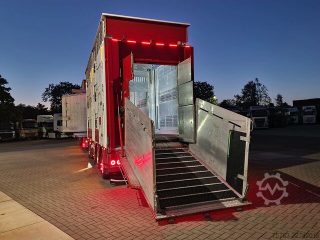 Μεταφορά βοοειδών Volvo FH 13.500 XL 6x2 - Pezzaioli livestock 3 deck +...