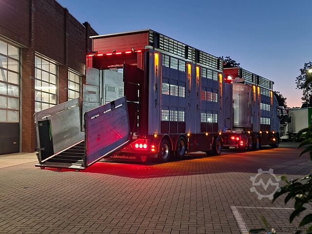 Μεταφορά βοοειδών Volvo FH 13.500 XL 6x2 - Pezzaioli livestock 3 deck +...