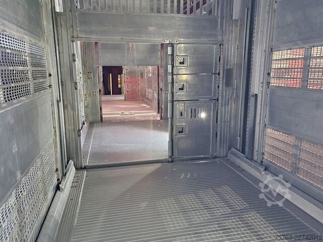 Μεταφορά βοοειδών Volvo FH 13.500 XL 6x2 - Pezzaioli livestock 3 deck +...