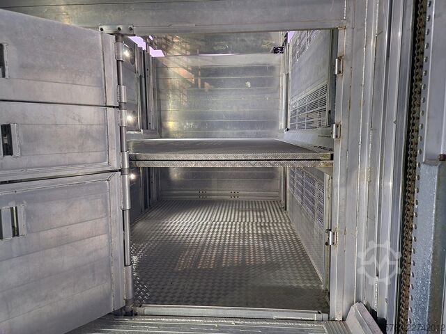 Μεταφορά βοοειδών Volvo FH 13.500 XL 6x2 - Pezzaioli livestock 3 deck +...