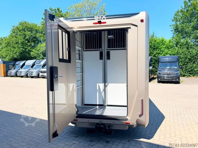 Trasportatore di bestiame RENAULT Master STX 5 Sitzer Haras ex. Lang Automatik