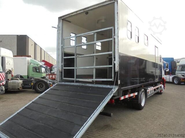Paardenvervoer Volvo FM 9.310 + Euro 5 + Manual + Horse transport