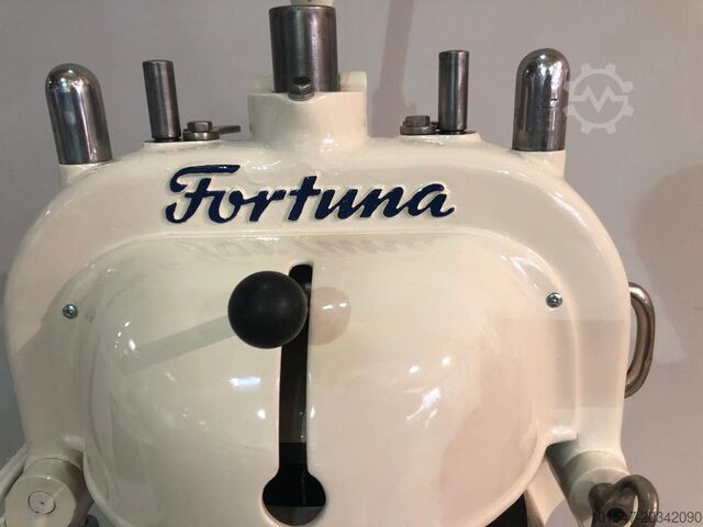 Divisor Fortuna 4
