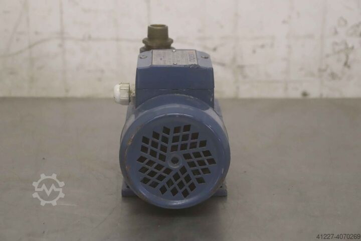 Kreiselpumpe Pedrollo PK 60-1