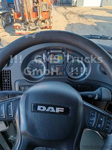 Zapreminski vučni traktor DAF XF 460 / SSC / Mega / German