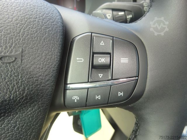 Kleinbus FORD Transit 350 L3H2 AT Trend BTW KMP Rampe Stndhz