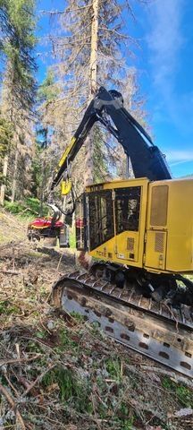 Egyéb  Tigercat LH 822 D Forstmaschine