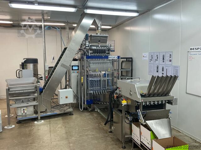 Stickpack-maskine med 6 hoveder IMAR I-6006-G