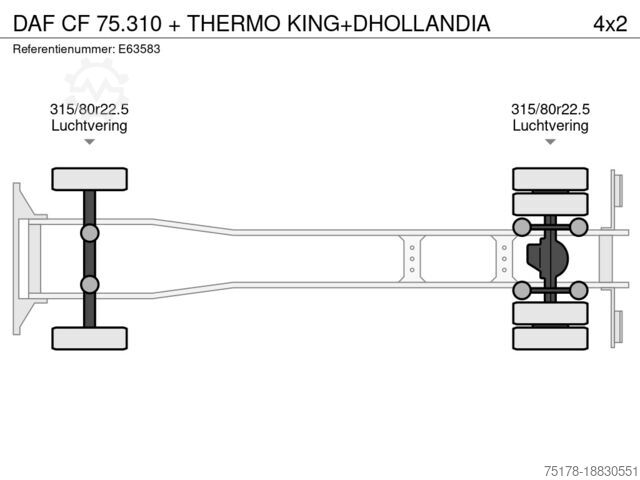 Μεταφορά σε ψύξη/κατάψυξη DAF CF 75.310 + THERMO KING+DHOLLANDIA