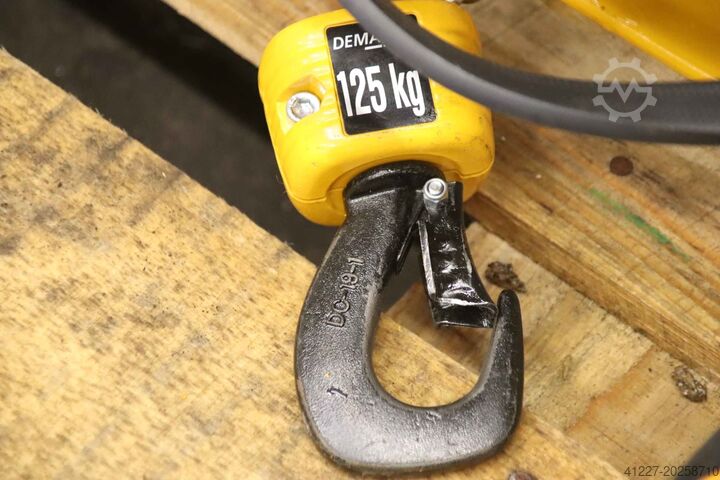 Zuilzwenkkraan, giek 2,00 m / 125 kg DEMAG WSK 125