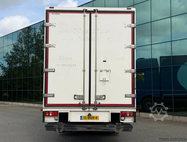 Chłodnia (samochód ciężarowy) DAF XF 480 FAR SSC EURO 6 ISOLATED BOX CARRIER TRS C