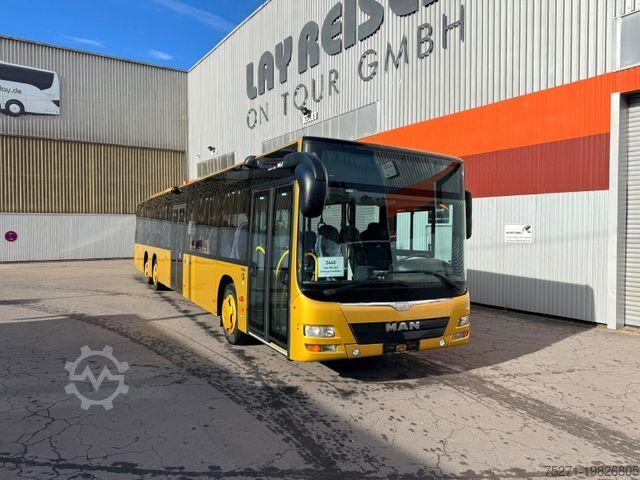 City bus MAN Lion's City A44 NL 363 || AC , 2 gleiche Fahrz.