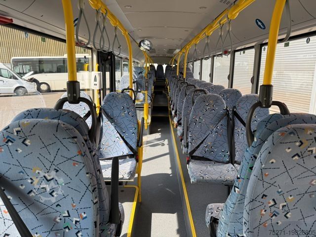 City bus MAN Lion's City A44 NL 363 || AC , 2 gleiche Fahrz.