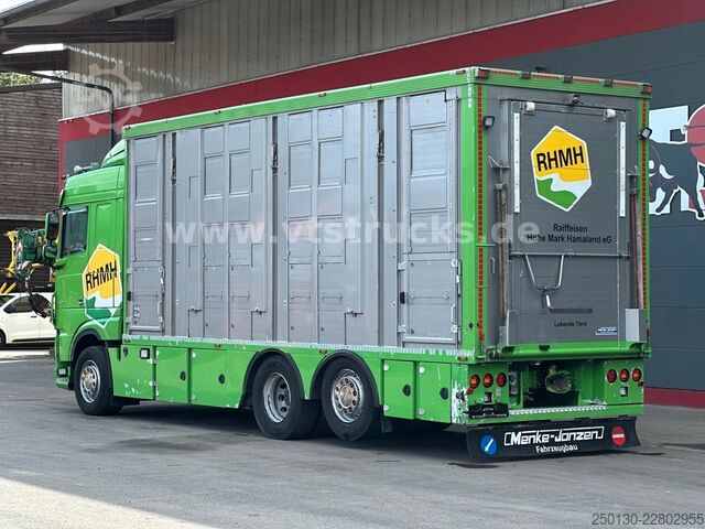 Camion per bestiame DAF XF 480 LL 6x2 3.Stock Menke Viehwagen m. Hubdach