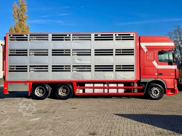 Veetransport DAF XF 95.430 BERDEX  3 decks. Water, fans, Scales!...