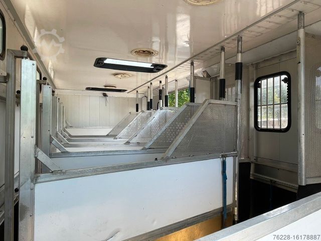 Kreaturvogn SCANIA Pferdetransporter