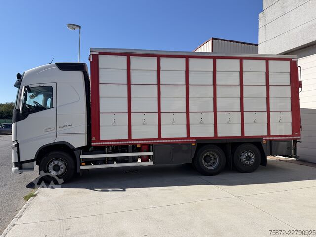 Veewagen Volvo FH 13 500 6X 26T EURO 6 GANADO