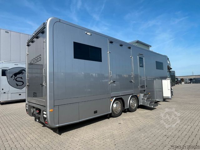 Camion pour bétail MERCEDES-BENZ ACTROS S  2640 STX  . POP-OUT, Pop-Up, 7 Pferde