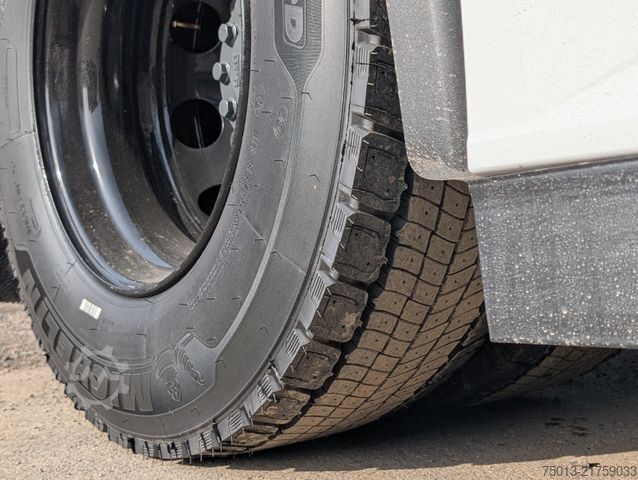 Standard dragbil DAF XG+ 530 PS, MIETEN?
