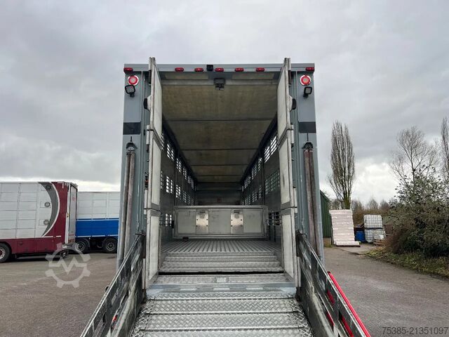 Transport af kvæg Finkl Livestock 1/2/3 Type 2