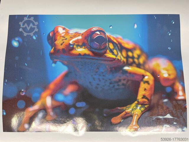 Cyfrowa maszyna drukarska Roland TrueVIS VG2-540