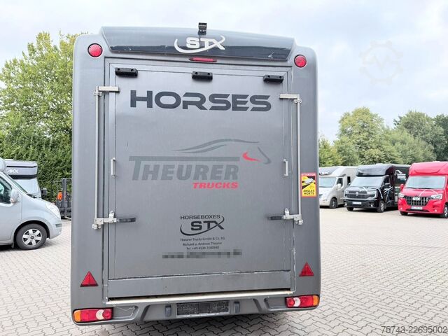 Paardentransportaanhanger  STX 3,5T  2 Pferd   Pferdeanh. Wohn. Dusche, WC