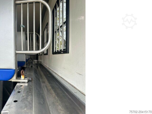 Szarvasmarha-szállító teherautó Scania P310 6 Pferde Popout Wohnmobilzulassung