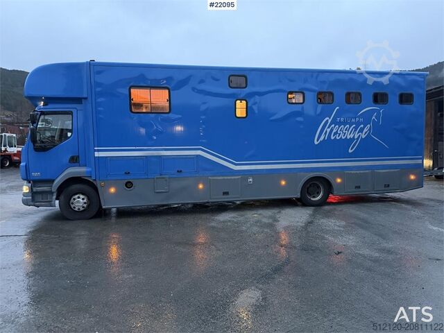 Transport af kvæg DAF Fa 55