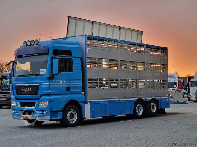 Transport bydła MAN TGX 26.440 6x2*4 - 3 deck Livestock - Water & V...