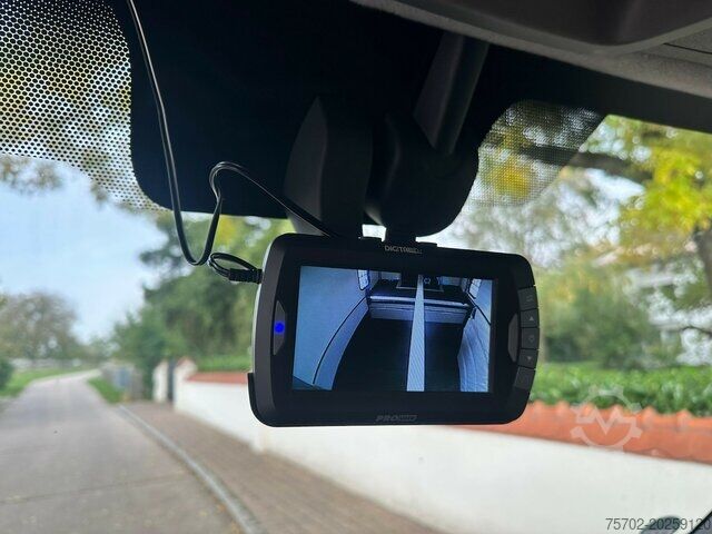 Hayvan taşıyıcı Renault Master MSG Superlight 1-2 Pferde Automatik