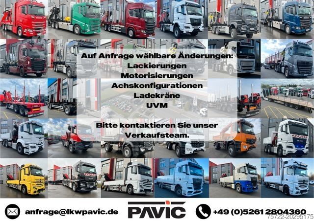 Houttransportwagen MAN TGX 33.510 6x4 BL/KRAN TAJFUN LIV ODER EPSILON