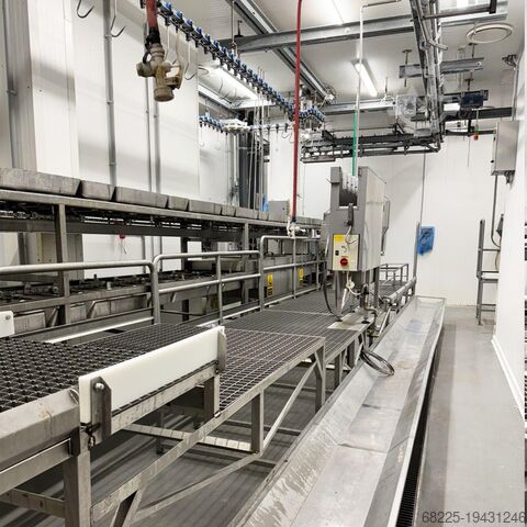 Complete pig slaughter line N/N Slaughter line 120pcs/h