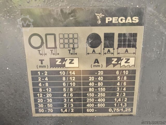  PEGAS 600 Camel X