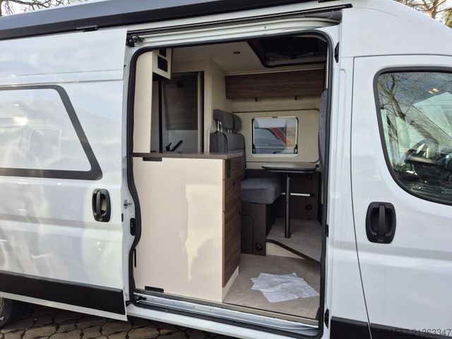Camper van BÜRSTNER Papillon PC 6.0 Schlafdach / 4-Personen Zulassun