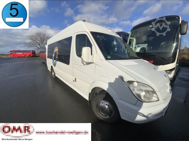 Personenvervoer Mercedes-Benz 519 CDI Sprinter