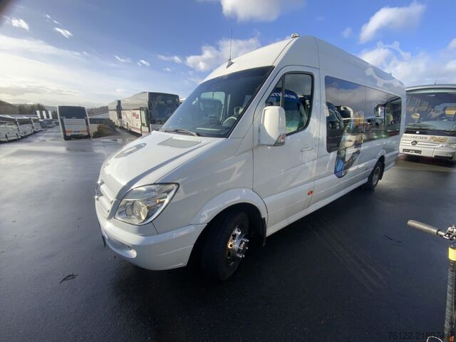 Personenvervoer Mercedes-Benz 519 CDI Sprinter