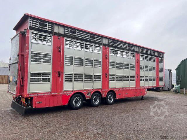 Veetransport Pezzaioli Livestock 1/2/3 stock Type2 independent levels!