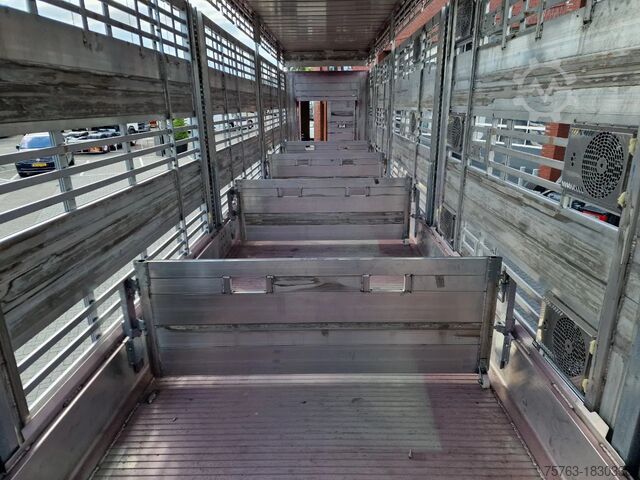 Veetransport Pezzaioli New - 3 deck livestock 100M2 - Water & Ventilat...