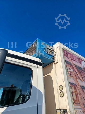 Chłodnia (samochód ciężarowy) MERCEDES-BENZ Antos 2543 / Frigo Cool / Load 14,3ton