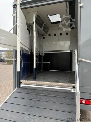 Veetransporter MERCEDES-BENZ FUSO 8 180 TT-S 1-3 Pferde Pop-Out, Neufahrzeug