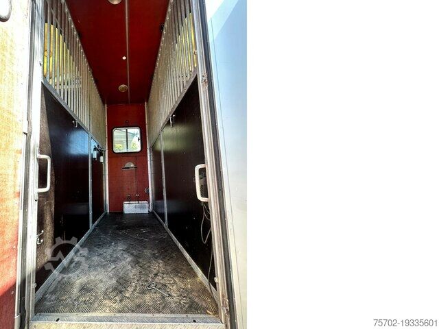 Kreaturvogn Mercedes-Benz Actros 18360 Niehoff 4 Pferde und Wohnung